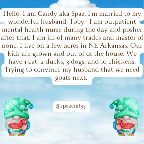 @spazcmt55 Meet Your Posher - Picture 2 of 11